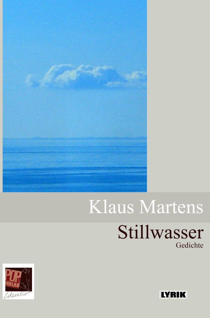 Book Cover: Stillwasser